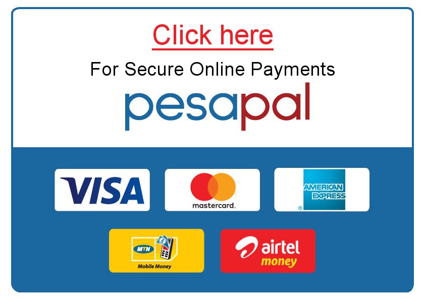 Secure Payments Online